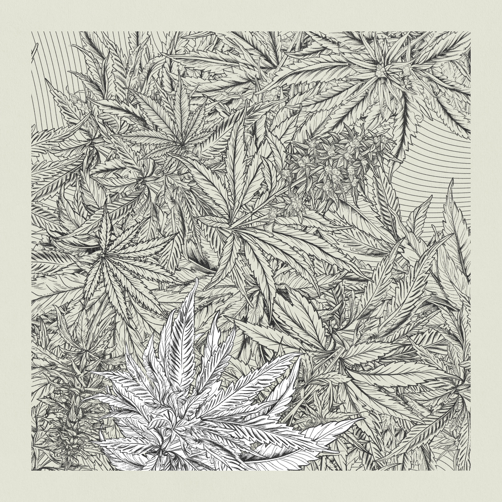 zancannabis #414 static NFT preview