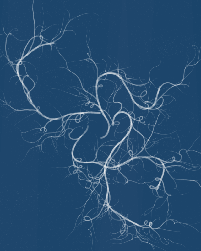 Cyanotypes #174 static token preview