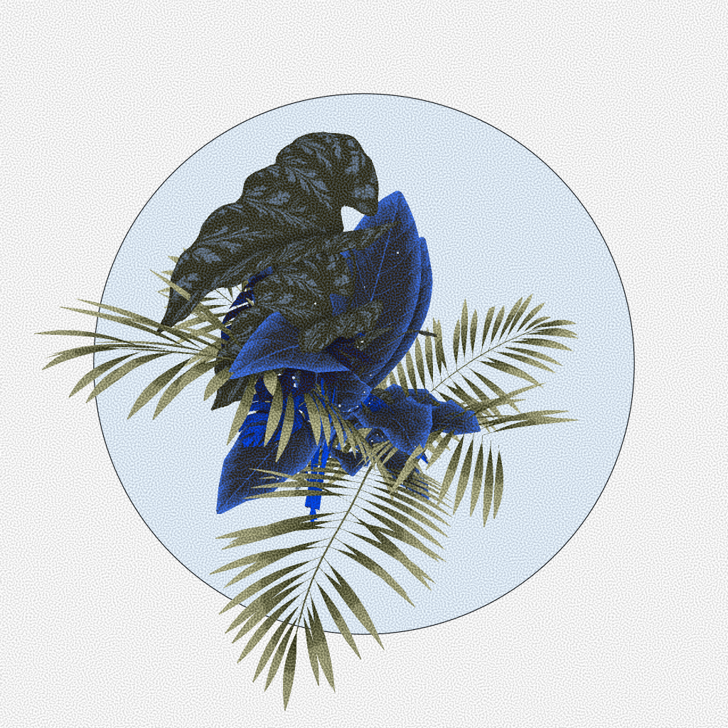 Botany #250 static NFT preview