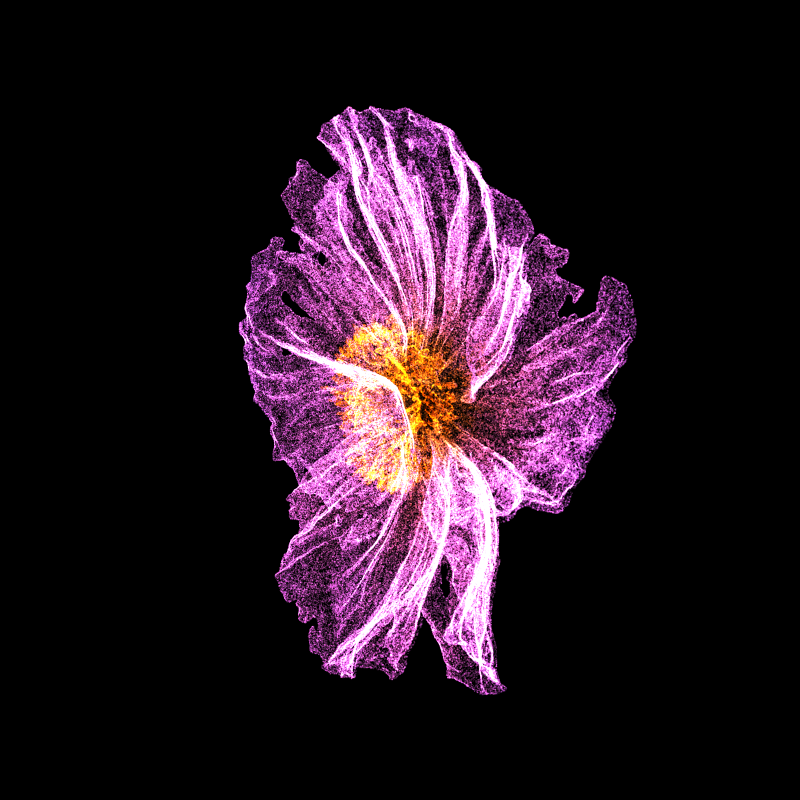 White Poppy 30 #123 static token preview