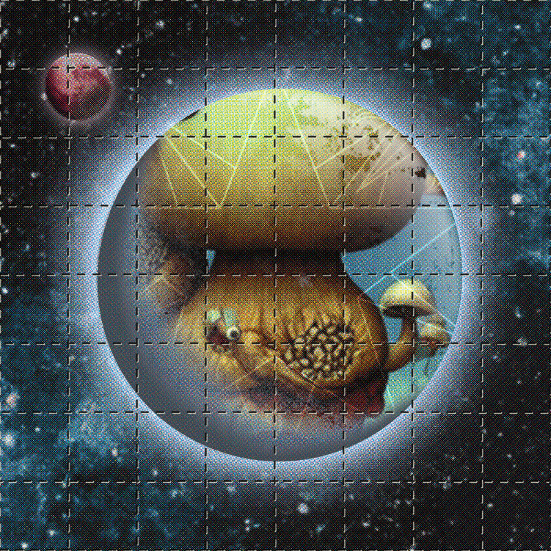 BLOTTER #84 static NFT preview