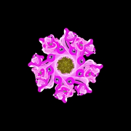 char-mandala project preview