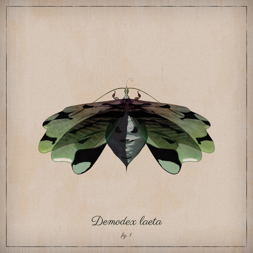 ProcGen Entomology #436 static NFT preview