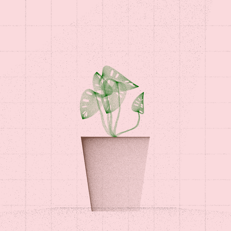 🌱 Potted & Printed #128 static token preview