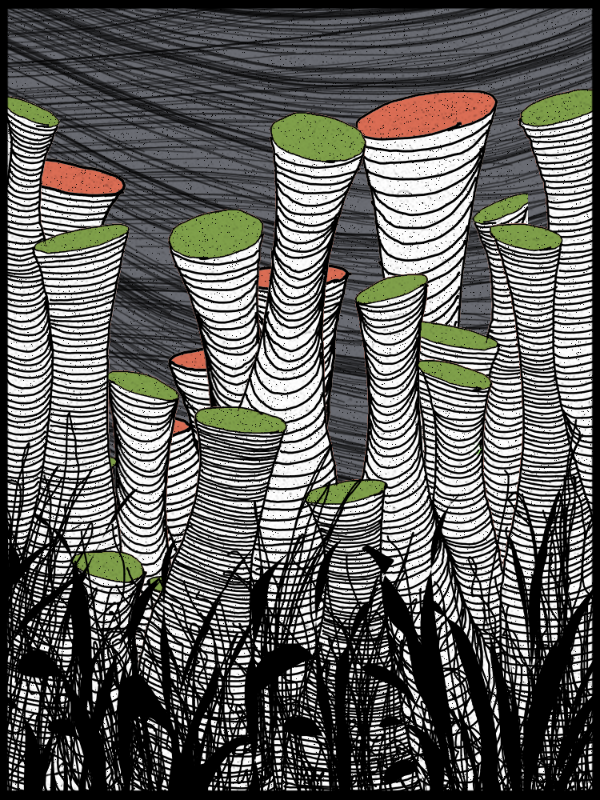 Play with lines #zentangle #67 static NFT preview