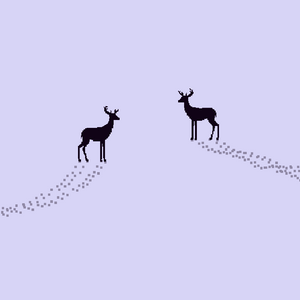 DEER project preview