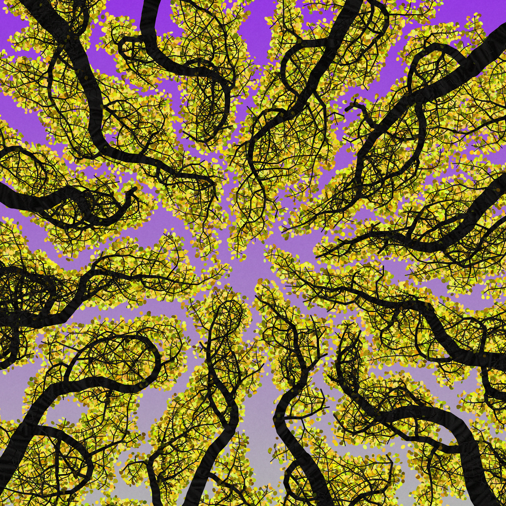 Tree Skyness #197 static NFT preview