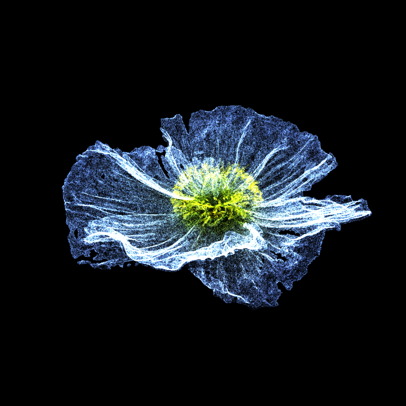 White Poppy 30 #209 static token preview