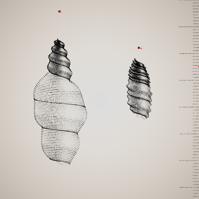 Two Specimen #180 static token preview