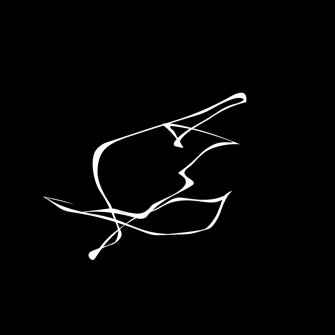 What do you see? #34 static token preview