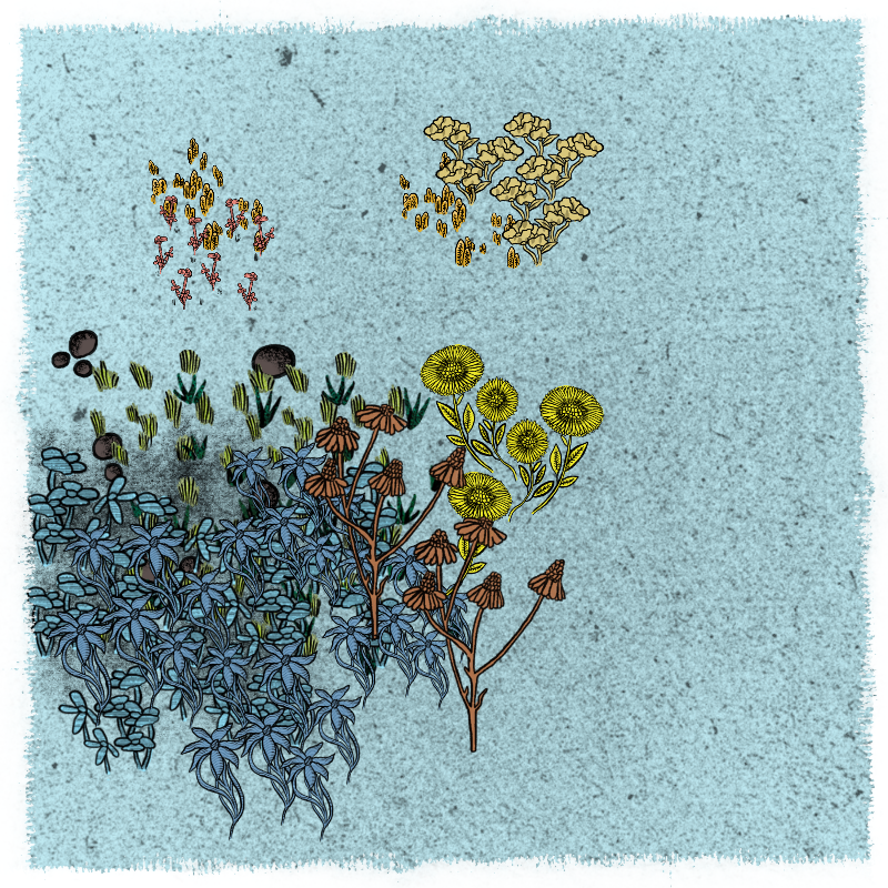 Gardens #82 static NFT preview
