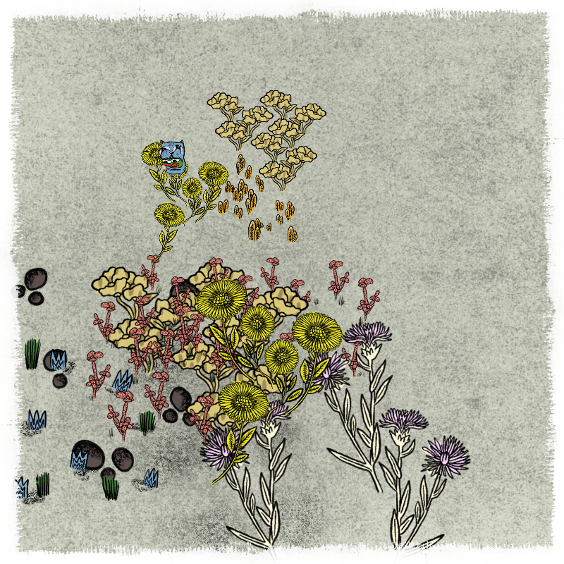 Gardens #106 static NFT preview
