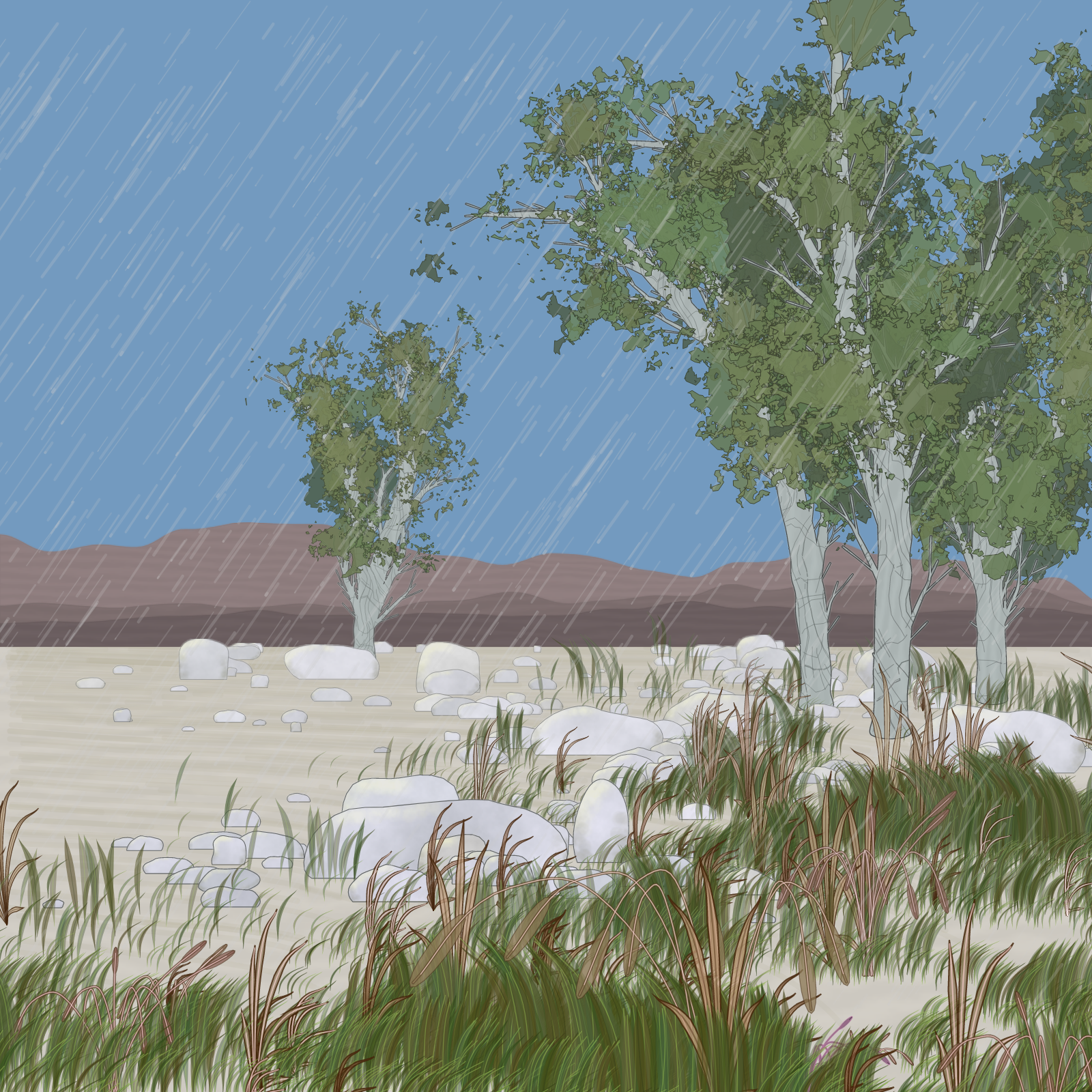 Rain Ritual #174 static NFT preview