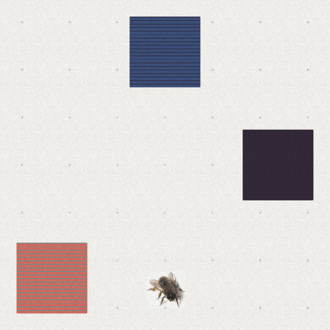 Bee #69 static token preview