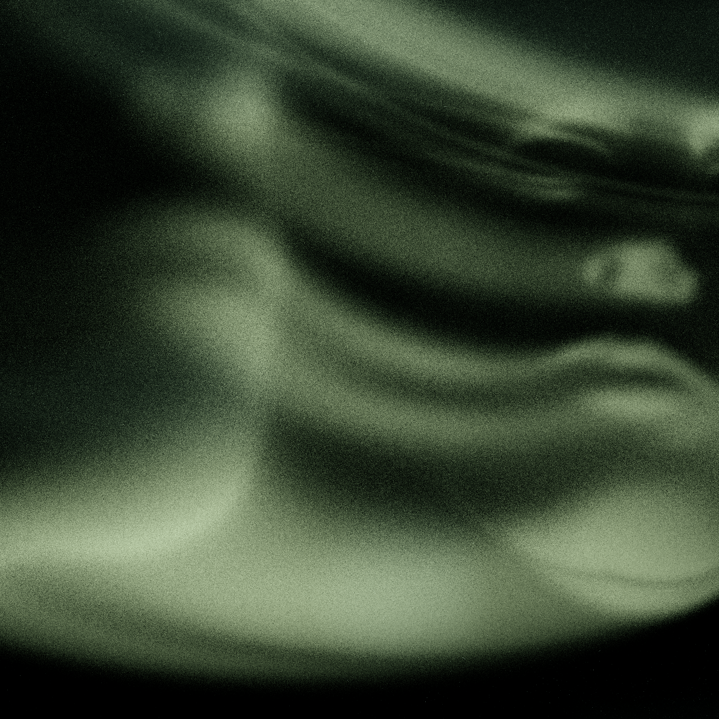Emotional Shell #370 static NFT preview