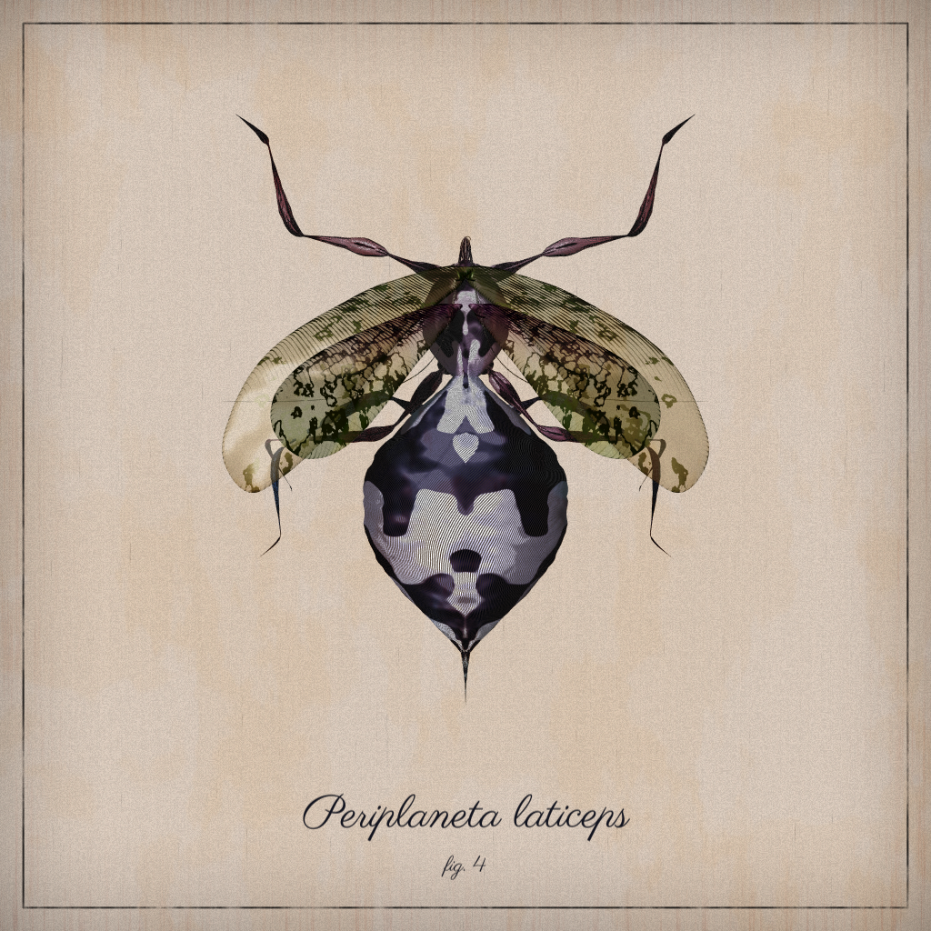 ProcGen Entomology #335 static NFT preview