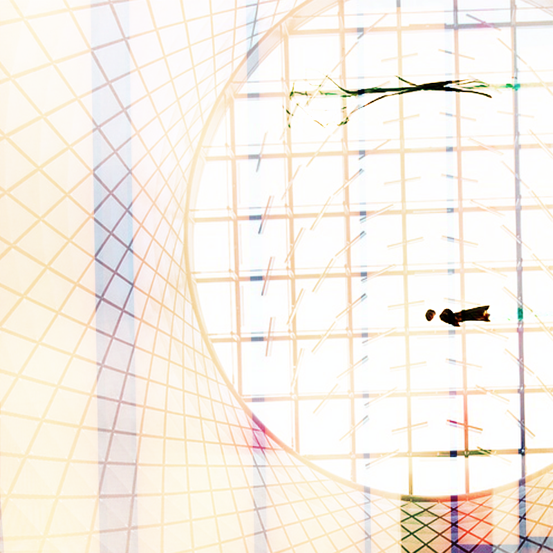 Fragmented Memory #3 static NFT preview