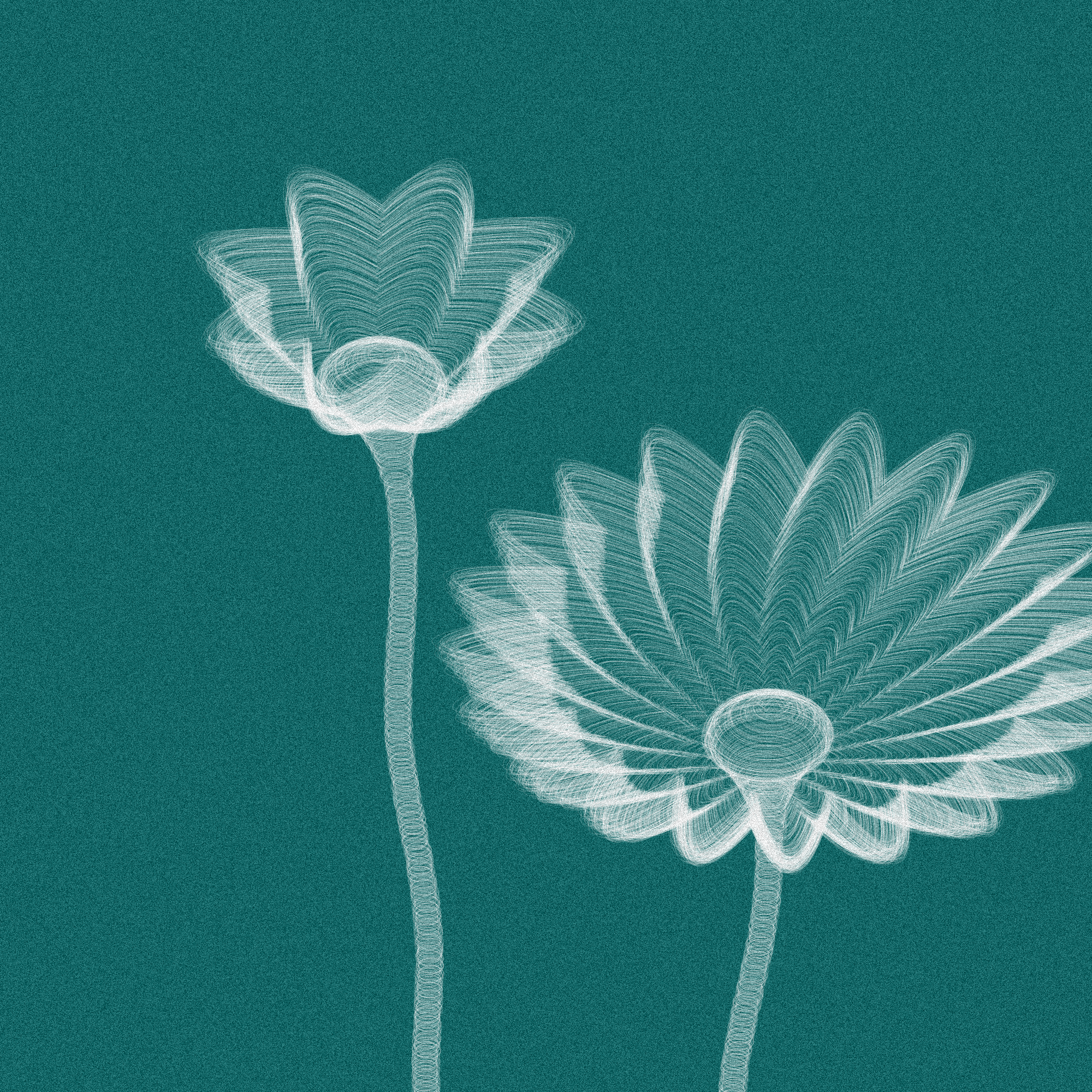 Code Flowers #66 static token preview