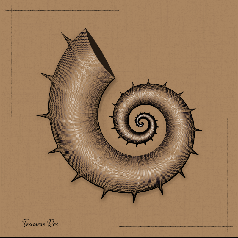 Ammonites #89 static token preview