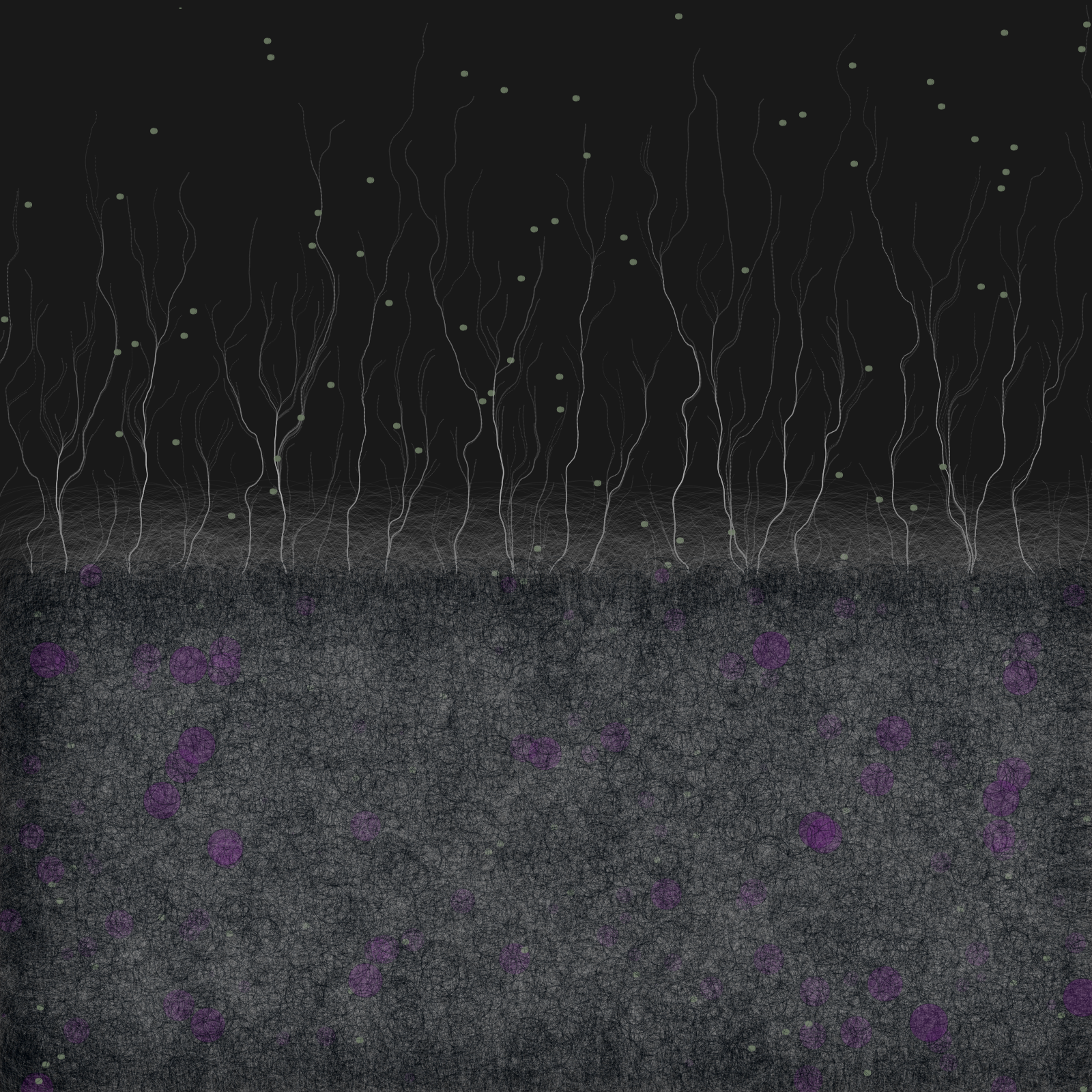 branches #42 static NFT preview