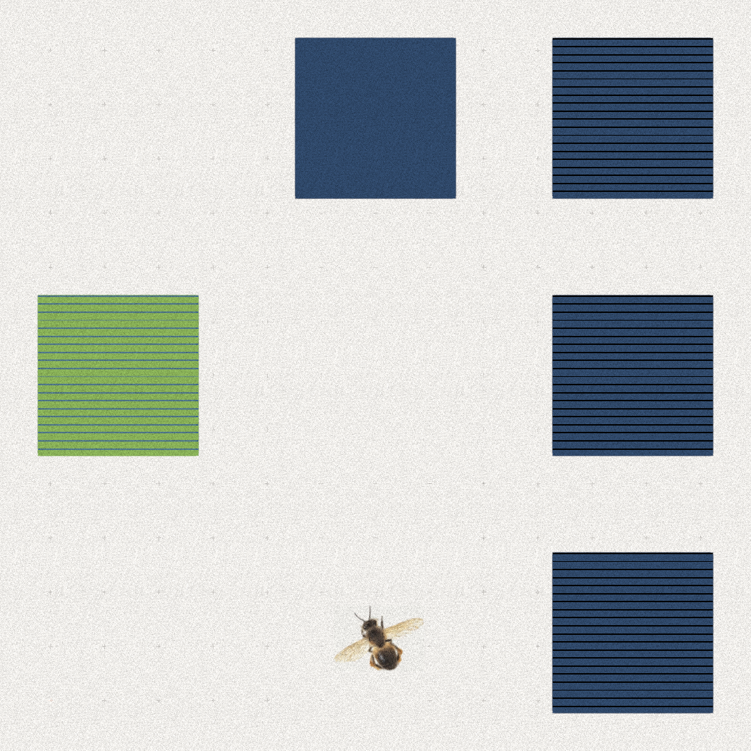 Bee #57 static token preview