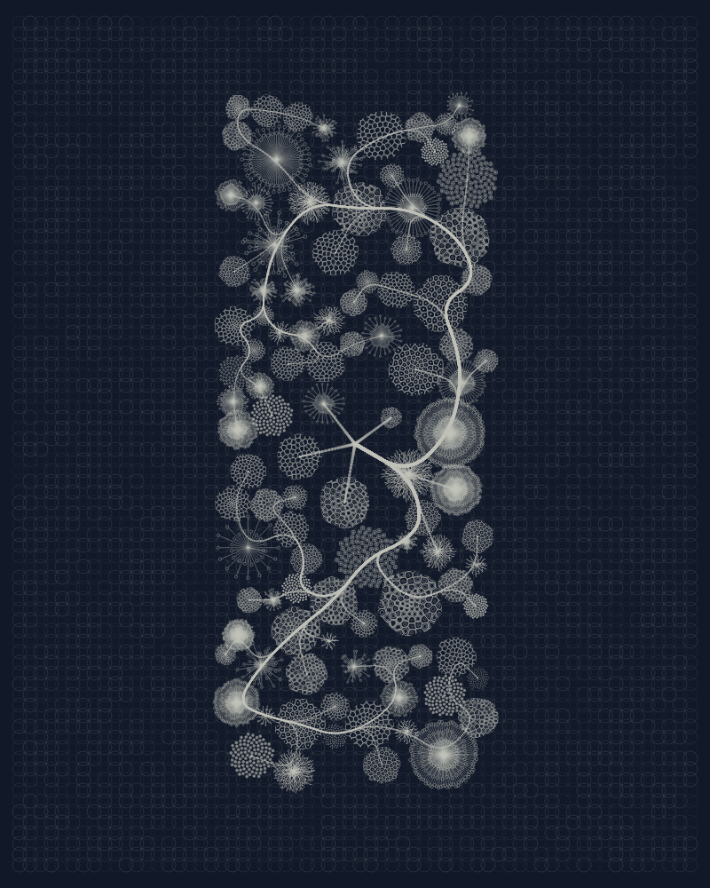 Florilegium #46 static NFT preview