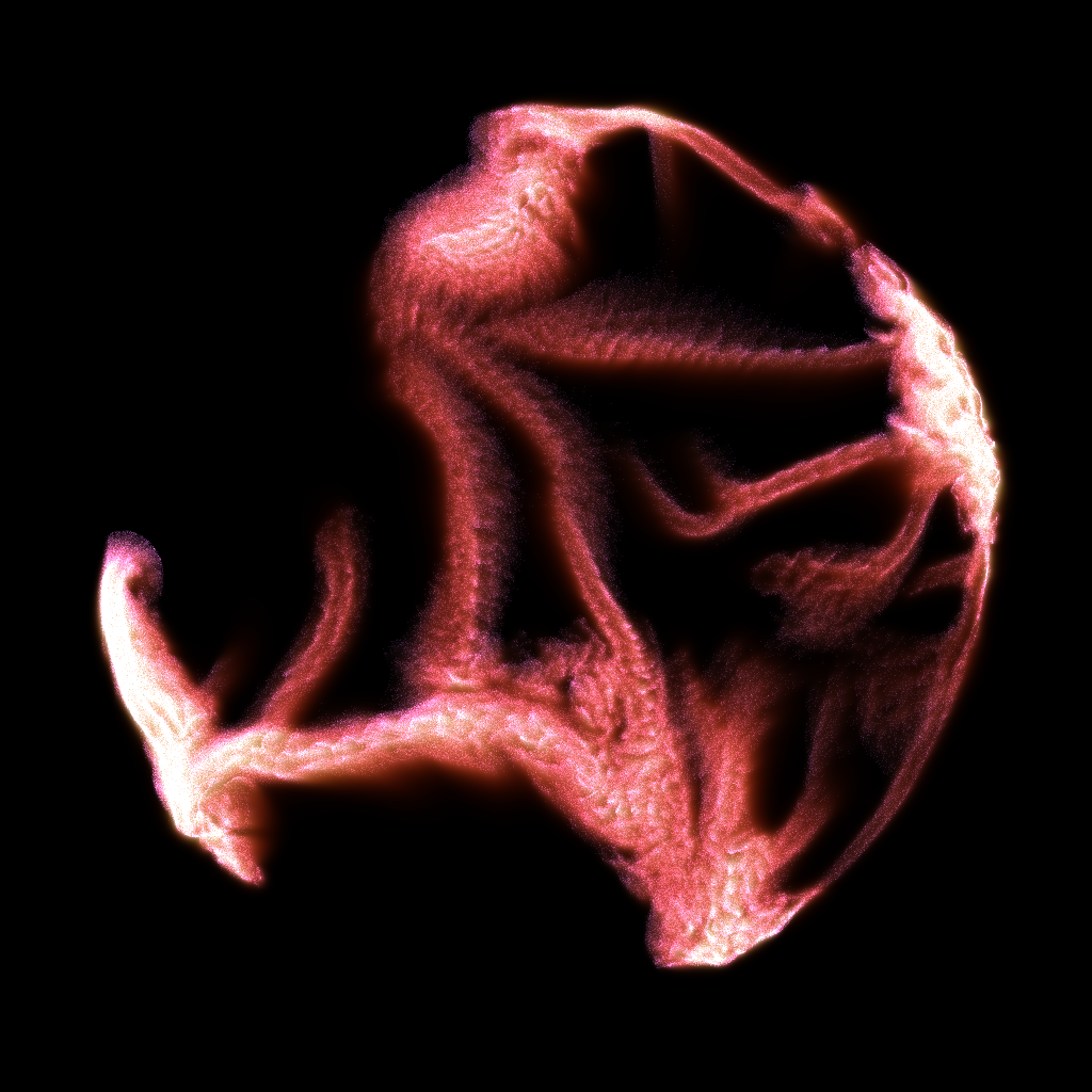 PETRI #81 static NFT preview
