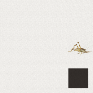 Grasshopper project preview