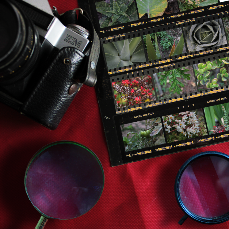 Contact Sheet #26 static token preview