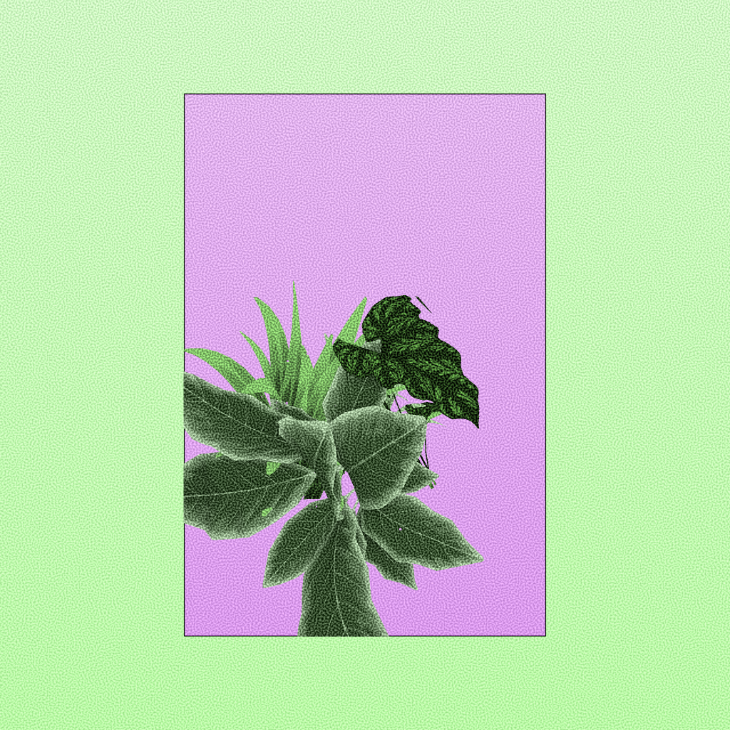 Botany #155 static NFT preview