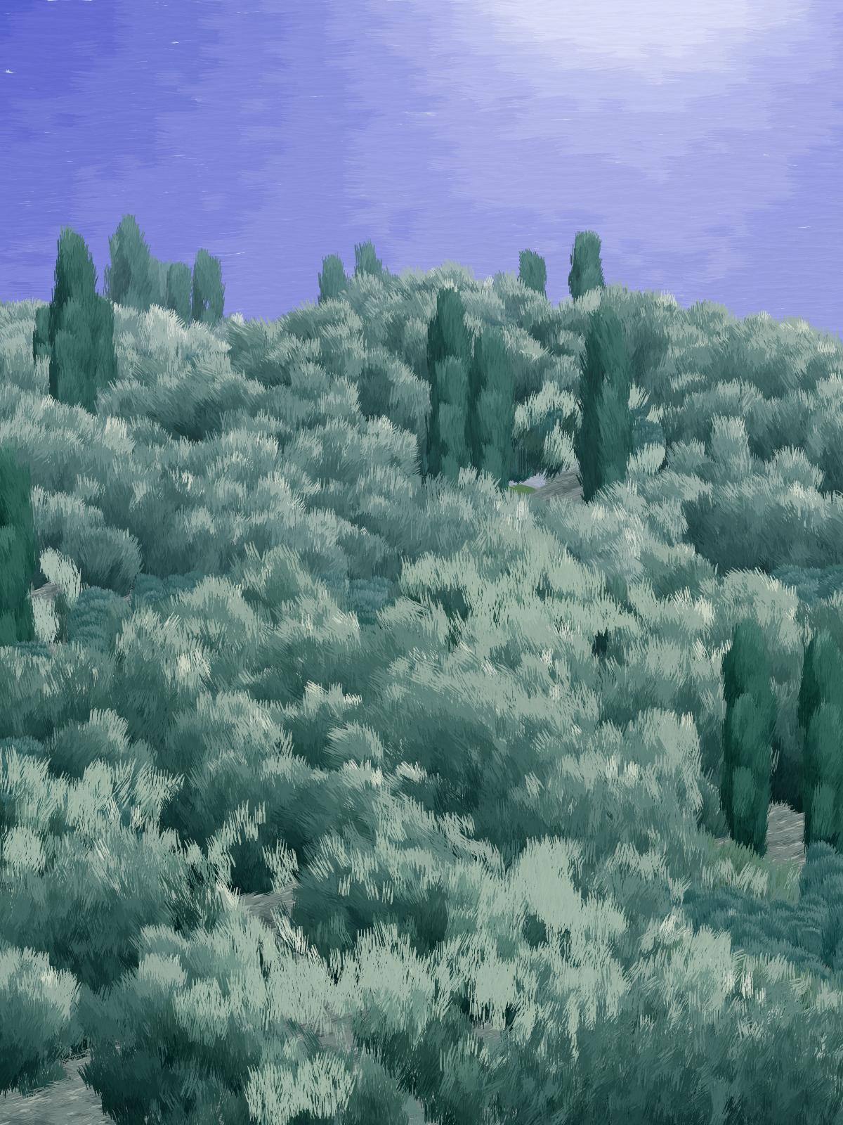 Provence #334 static NFT preview