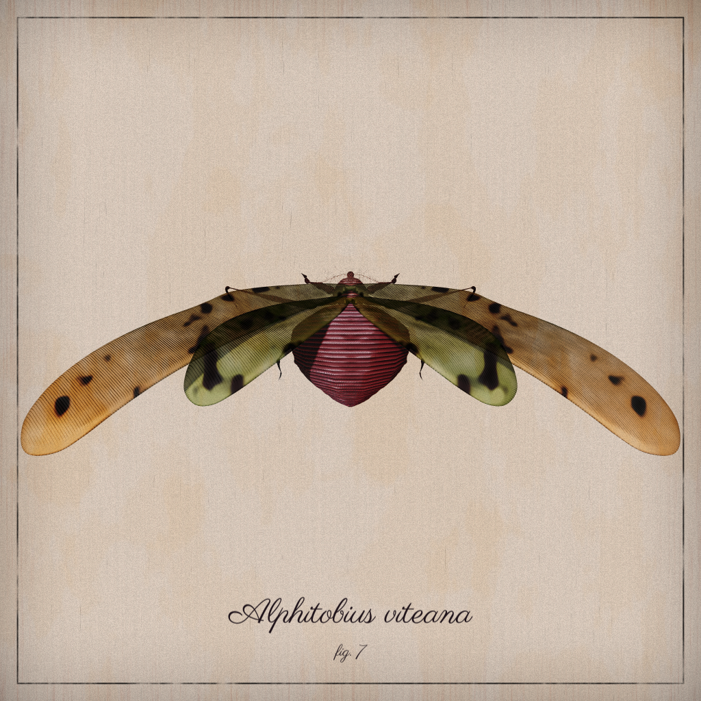 ProcGen Entomology #51 static NFT preview