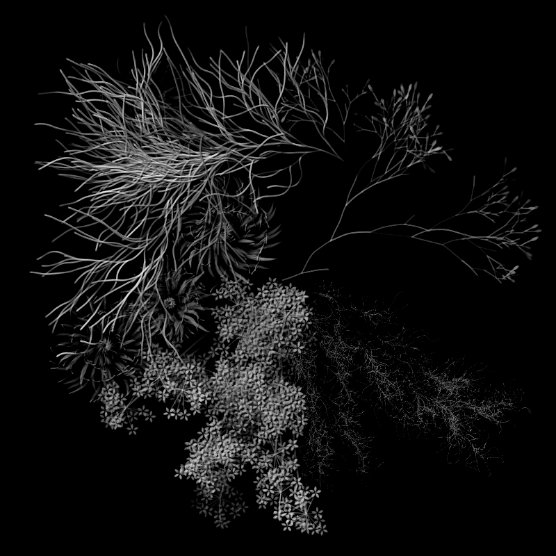 Botanical Ghosts #289 static NFT preview