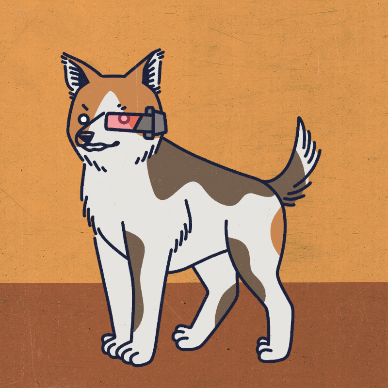future_dogs #86 static token preview