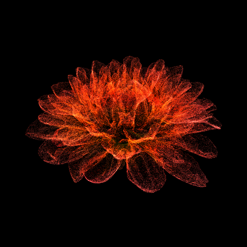 Dahlia Pinnata 30 #211 static NFT preview