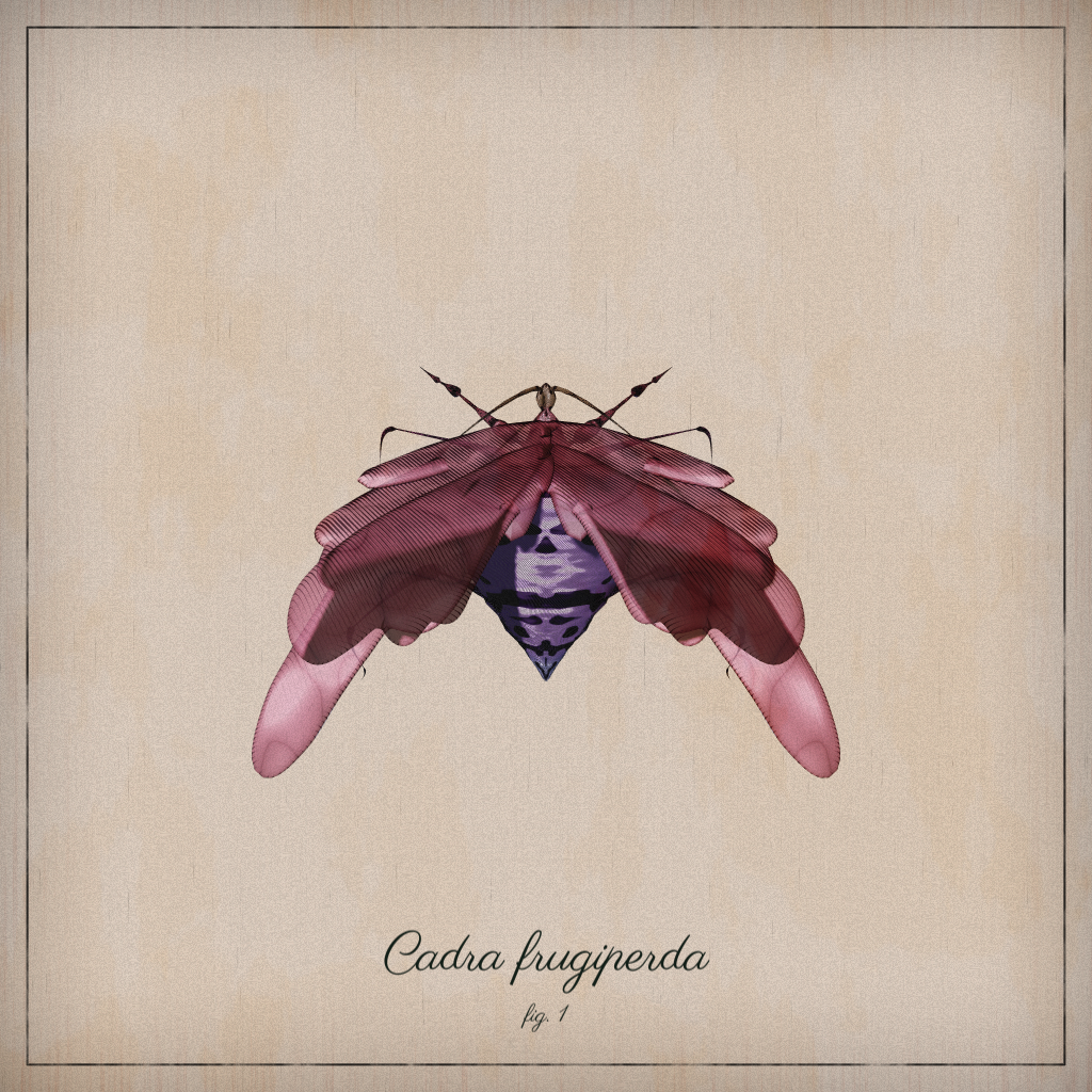 ProcGen Entomology #77 static token preview