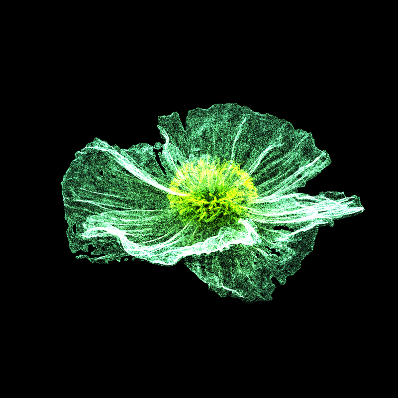 White Poppy 30 #198 static token preview