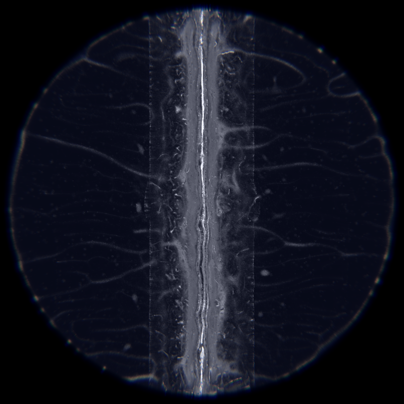 Ethereal Microcosm #270 static NFT preview