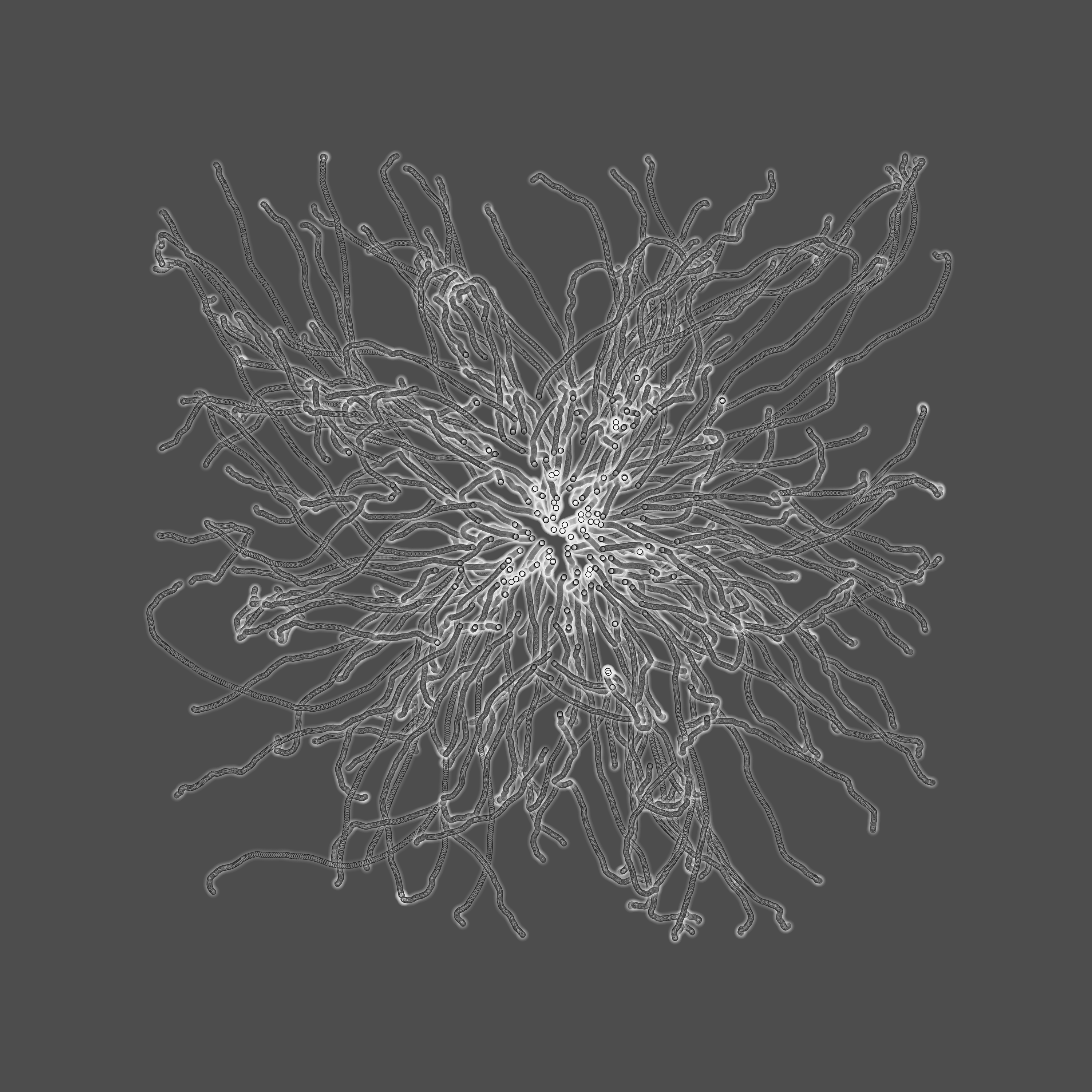 grey fungi wisdom #145 static token preview