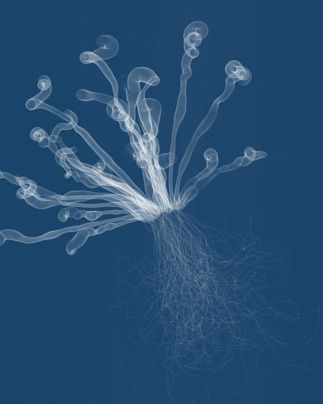 Cyanotypes #75 static token preview