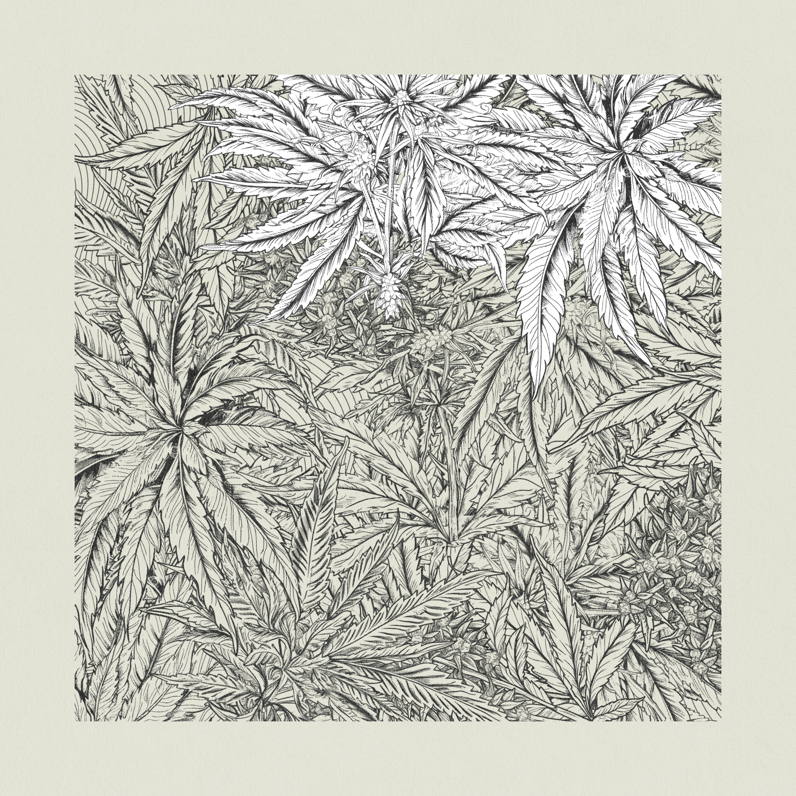 zancannabis #348 static NFT preview