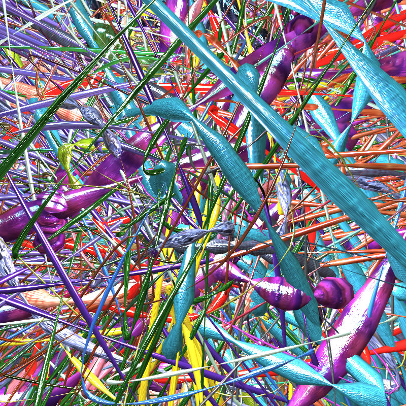 Prismatic Thickets #893 static token preview