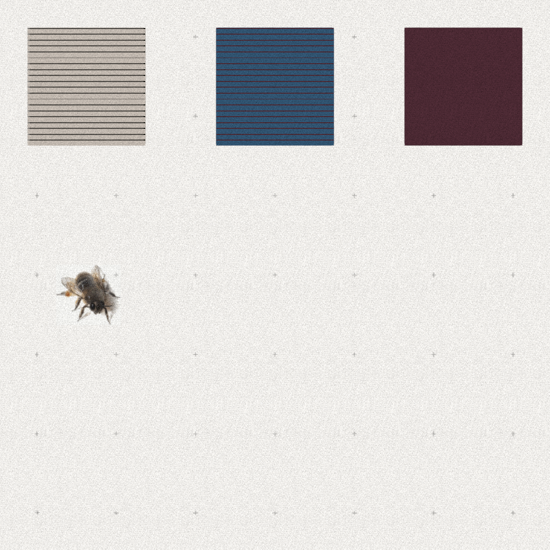Bee #61 static NFT preview