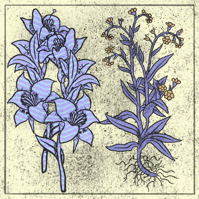 Bouquet #66 static NFT preview