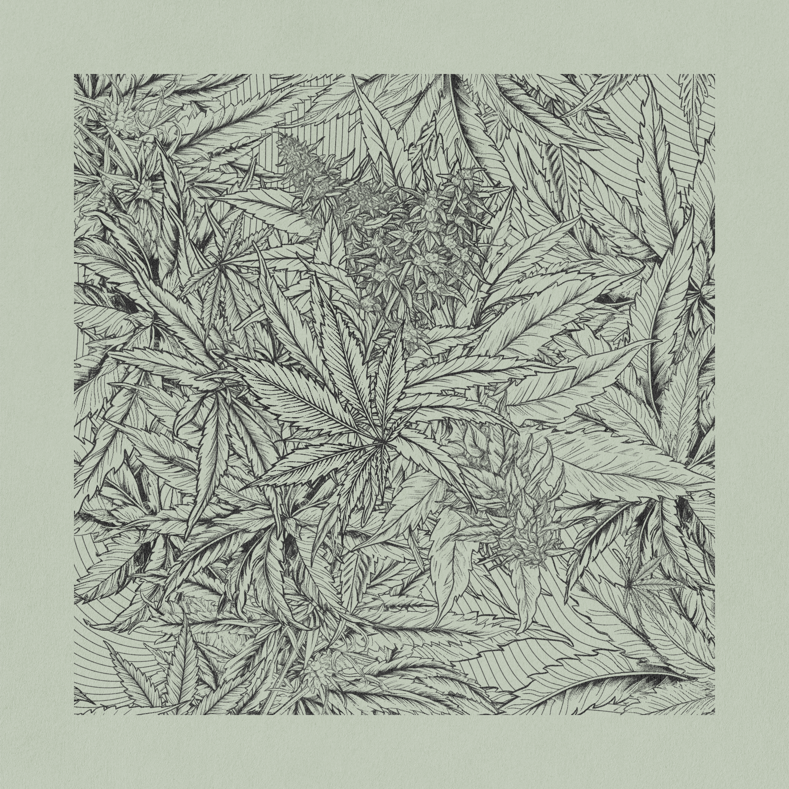 zancannabis #258 static token preview
