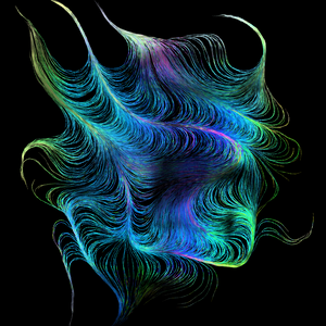 Braid project preview