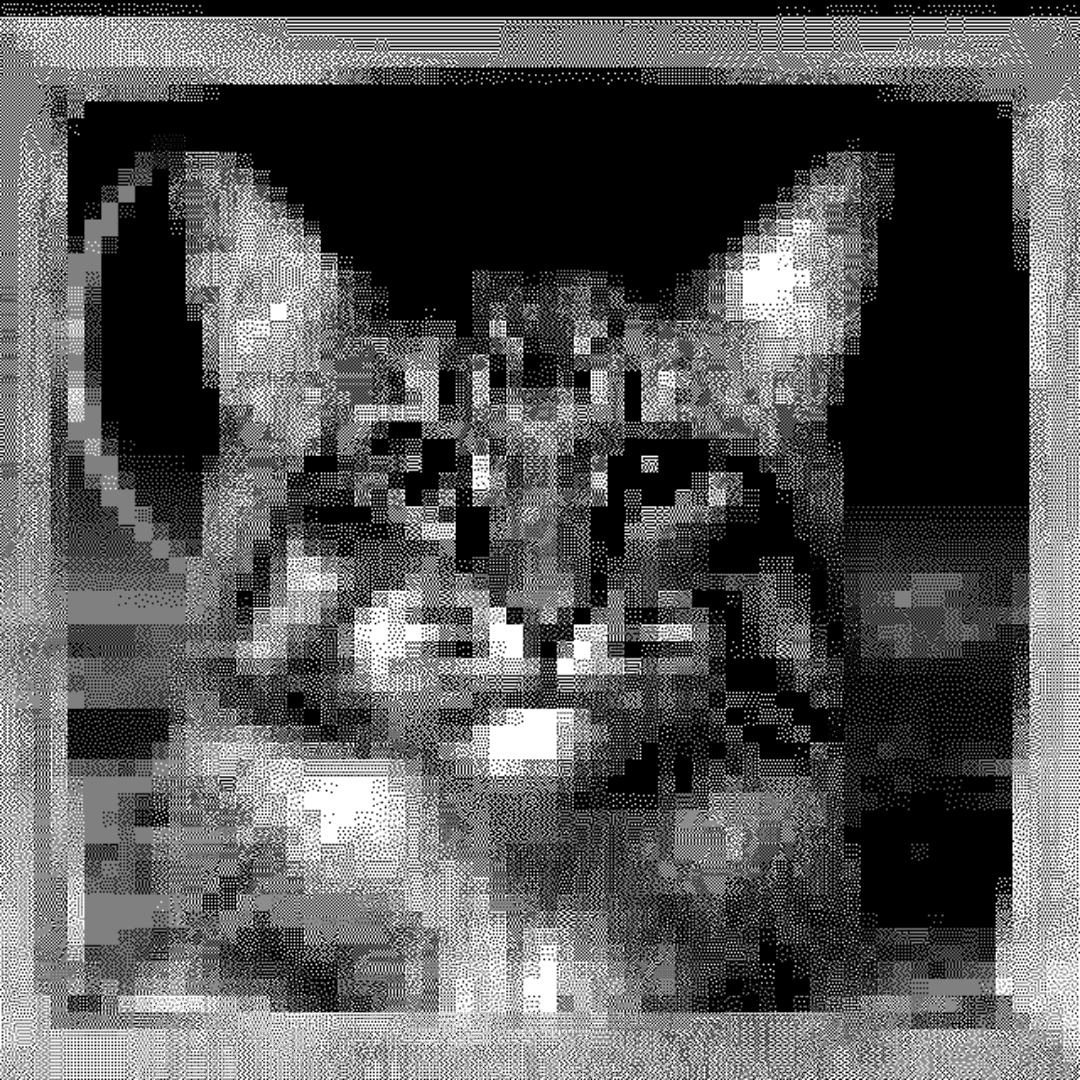 space cat #1 static token preview