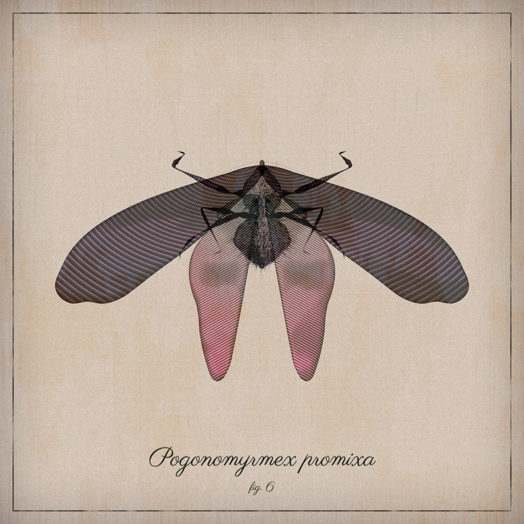 ProcGen Entomology #357 static NFT preview