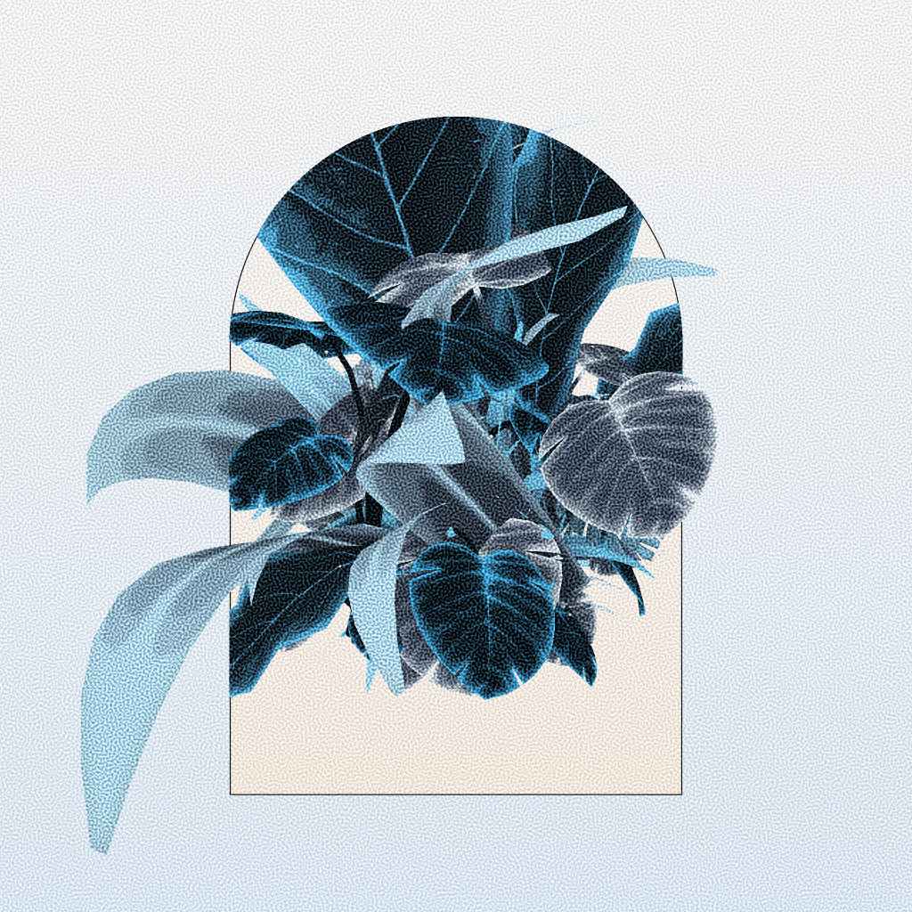 Botany #55 static NFT preview