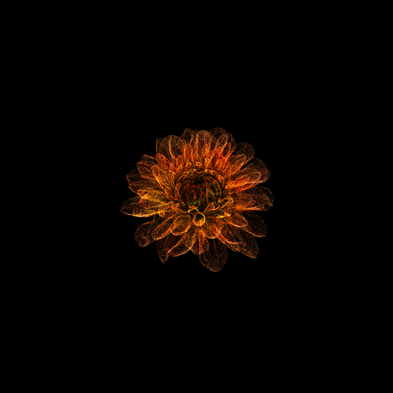 Dahlia Pinnata 30 #258 static NFT preview